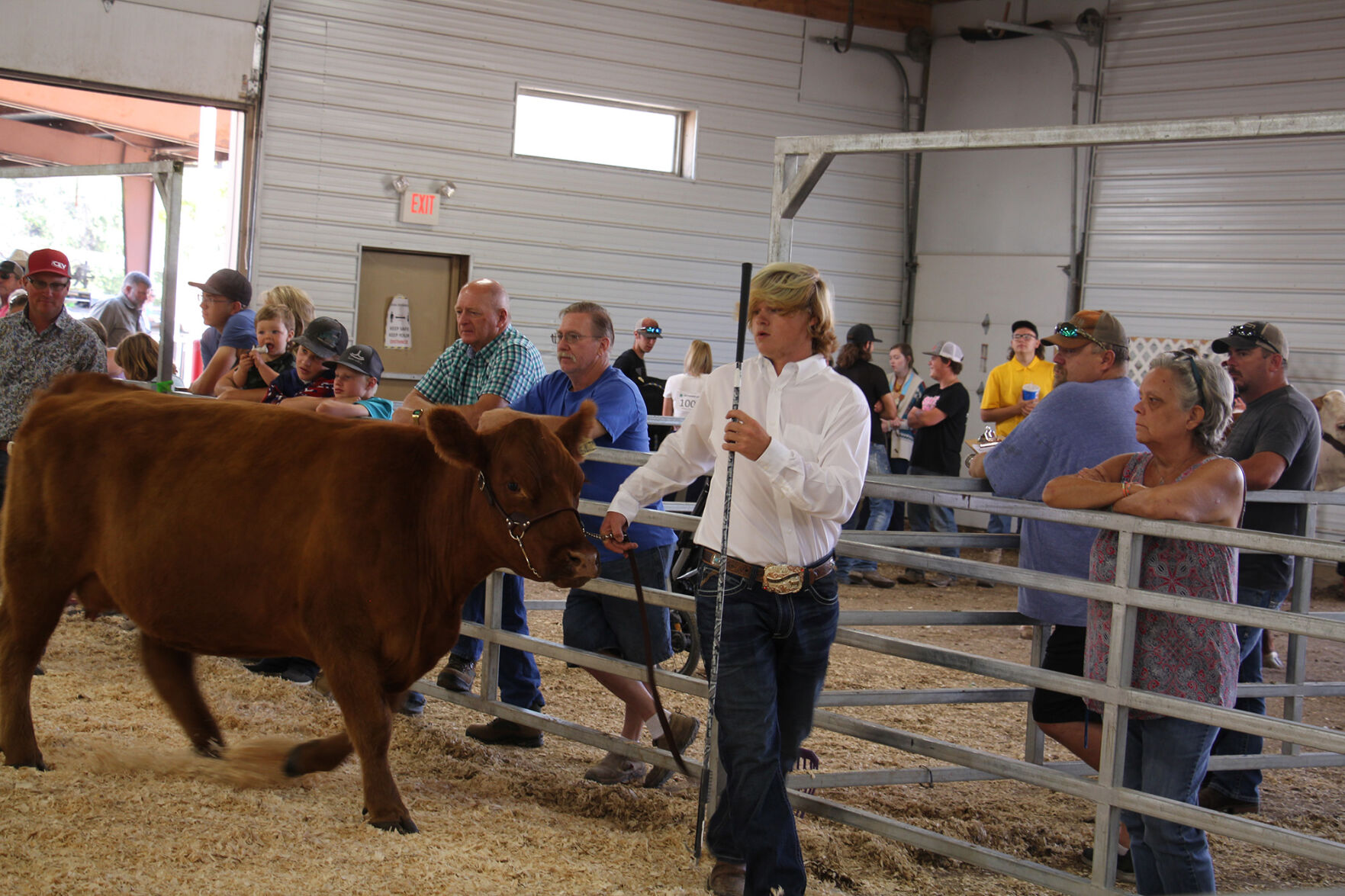 PHOTOS: More from the Scotts Bluff County Fair 2020